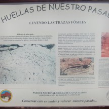 Information about the fossils, found in the Sierra de Quijadas